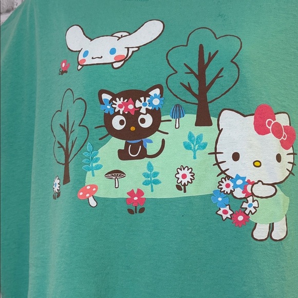 Loot Crate Teal Hello Kitty Graphic Tee, size 3XL - Picture 2 of 4